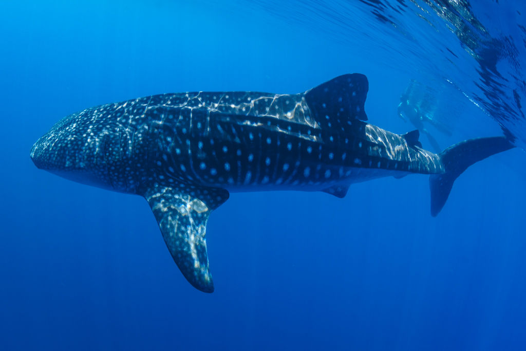 3e7e0ad1-3f27-44d0-a98a-362665d84327