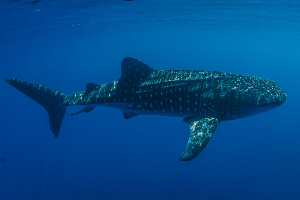 3e7e0ad1-3f27-44d0-a98a-362665d84327