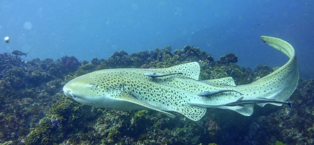 7a20eee5-1240-4d33-9791-baa73fa833ba