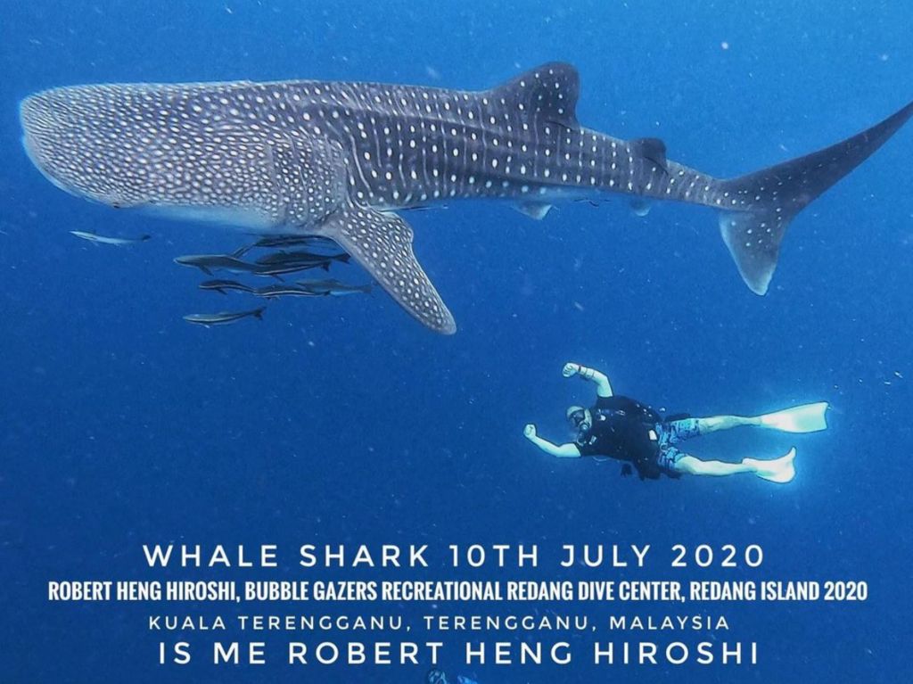 a441cb21-8a84-4e34-9bf0-26e318cd9855