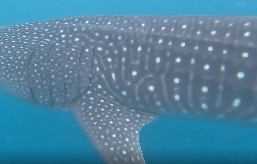 bab311a4-78c9-4ded-9f8a-7799369b557d