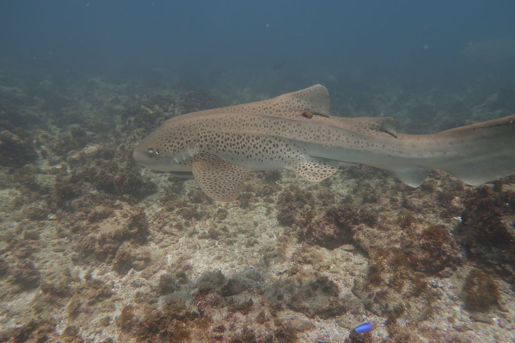 561242db-c3f9-47db-b3aa-8610cc38c12f