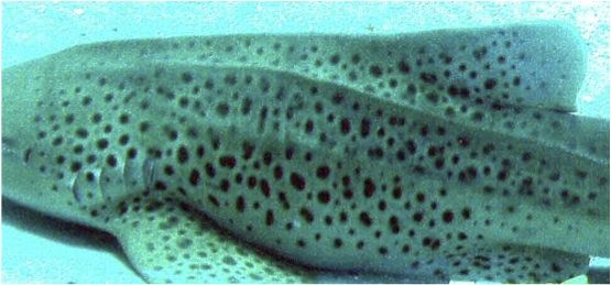 db2009bf-c9c3-46bb-a7df-2ded420c5339