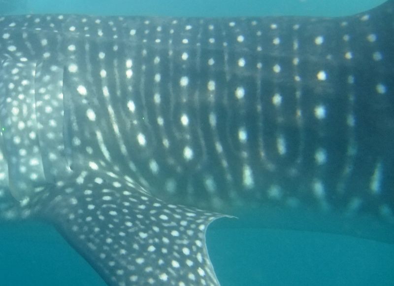 4ff16873-11bf-4c07-90d6-4a30cc3715ec