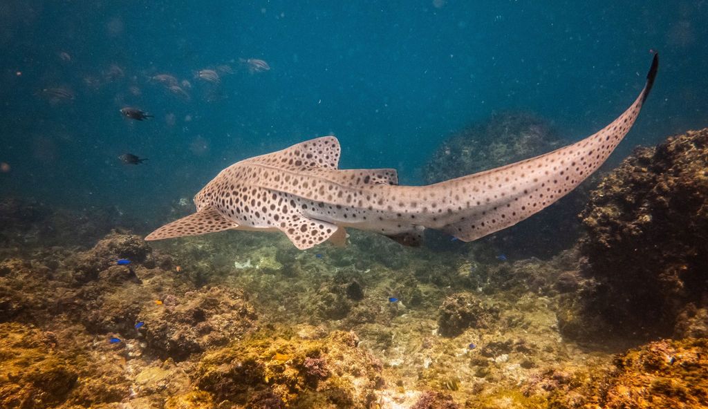 7c6a1355-c866-4f11-b71a-22f799319afc