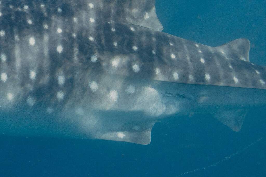 ac9d75b5-98e3-4421-81d5-1bcd0f9c9390