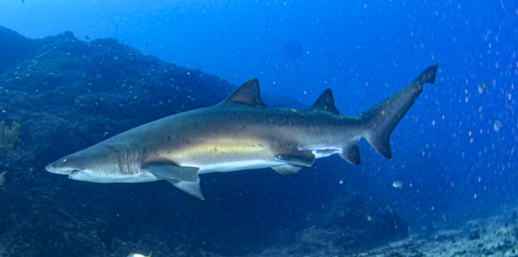 11ed38ce-5e56-4ce8-b77b-49d39b3eba2f