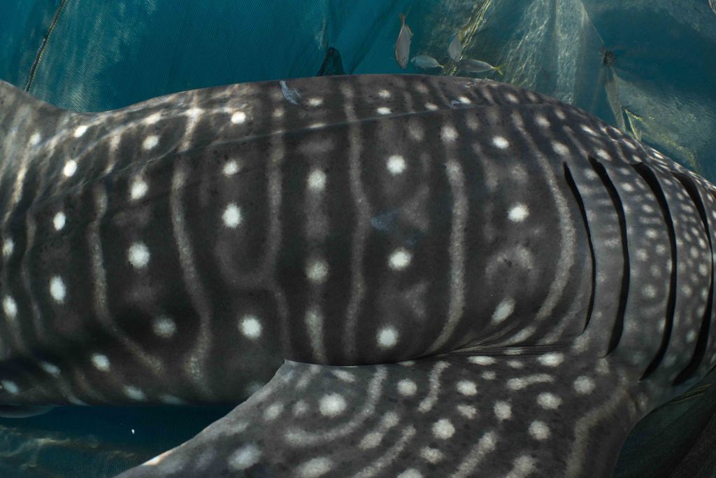 f53f3e85-df11-4006-9948-1dfc0bcffcd9