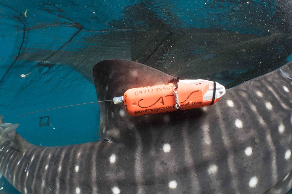 f53f3e85-df11-4006-9948-1dfc0bcffcd9