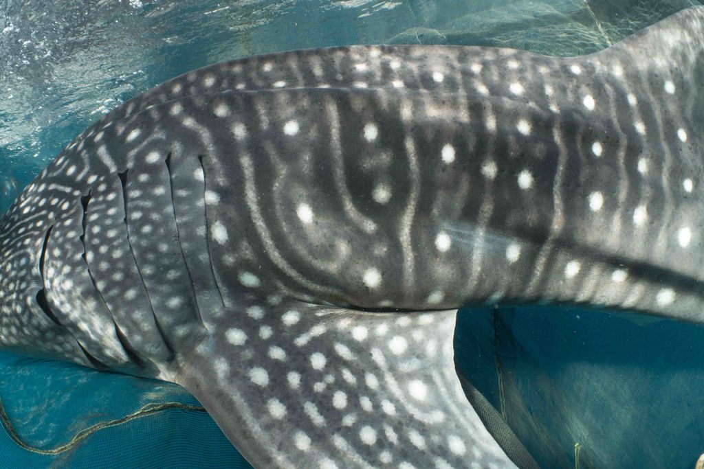 f53f3e85-df11-4006-9948-1dfc0bcffcd9