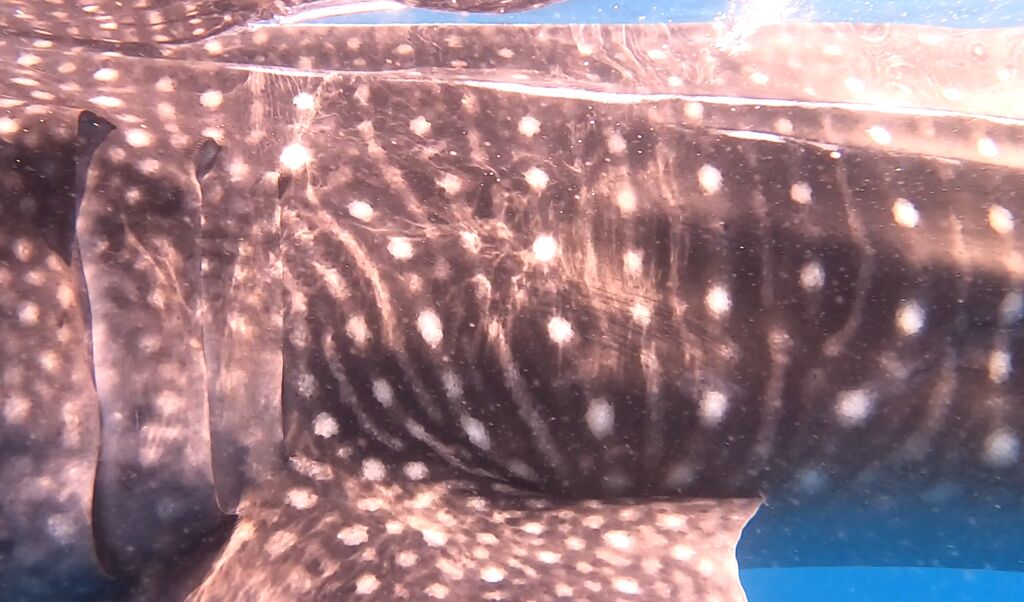 765a3516-9c24-441c-8511-77024b1a2e7f