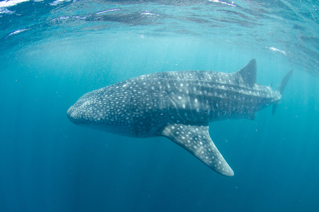 1287b598-db1c-4f50-8431-3ecea86387dd