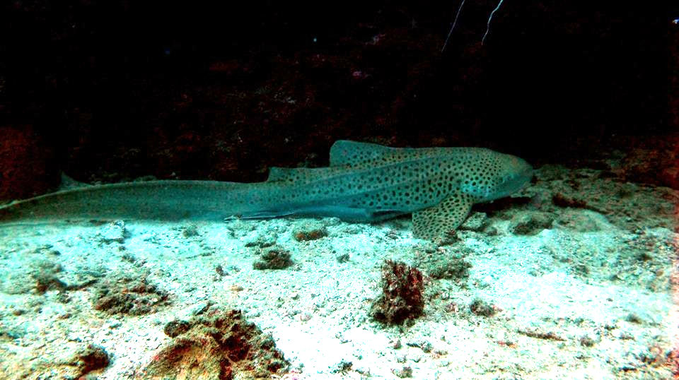 da44e834-b9f9-4b74-9fc7-4e34e12fed0c