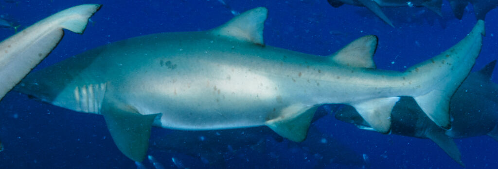 c6ded635-e47f-4c55-a1f8-ec607e723e3c