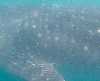 79db5cbb-ce61-494b-96da-01a785d70531