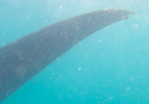 79db5cbb-ce61-494b-96da-01a785d70531