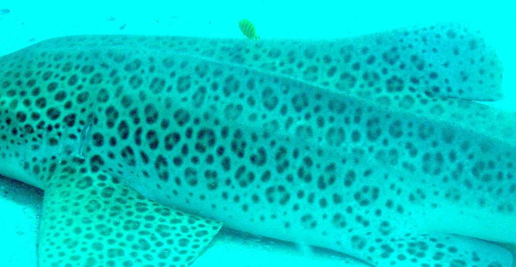 12e962b7-1edb-488e-81ec-d47b4c1ed4db