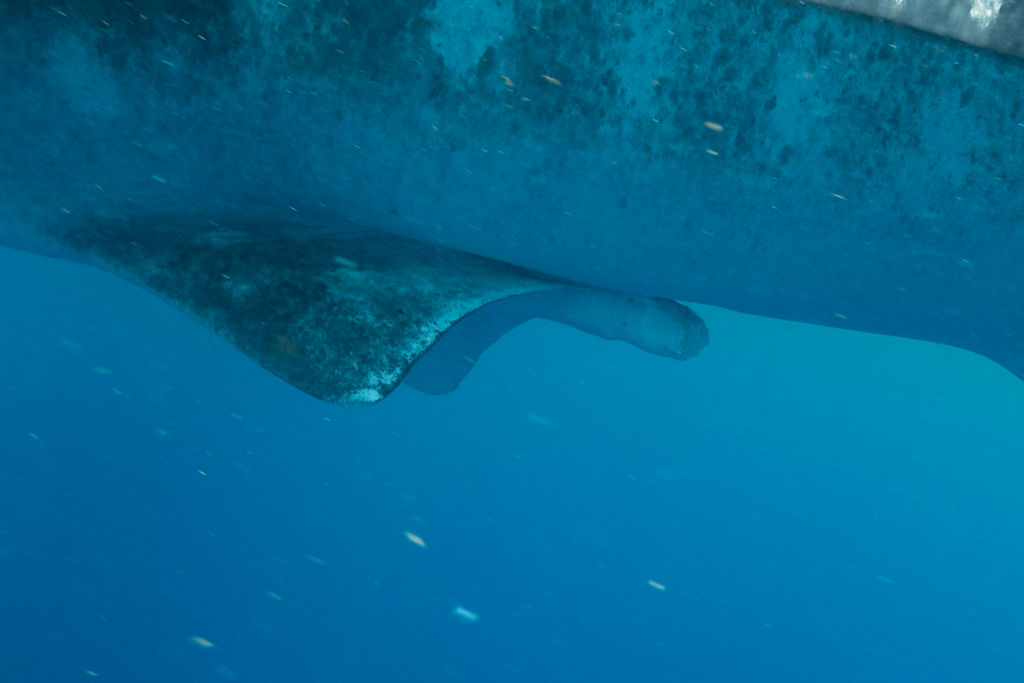 24f7c187-87b7-4b72-9f9d-c2b6a4f44b98