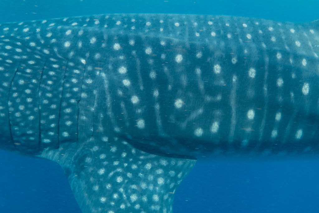 24f7c187-87b7-4b72-9f9d-c2b6a4f44b98