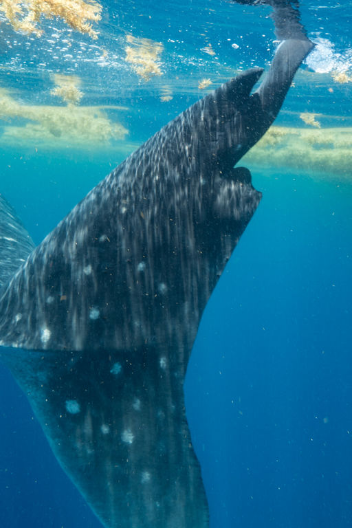 24f7c187-87b7-4b72-9f9d-c2b6a4f44b98