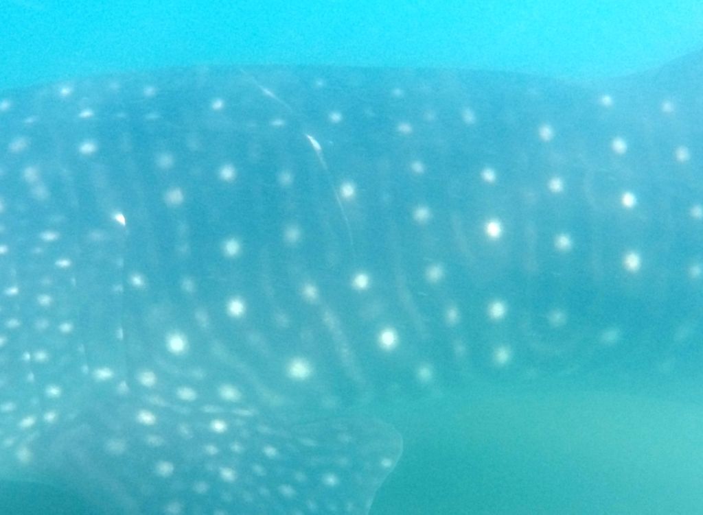 2782065a-ce05-4ce1-9e53-e309ce62bee8