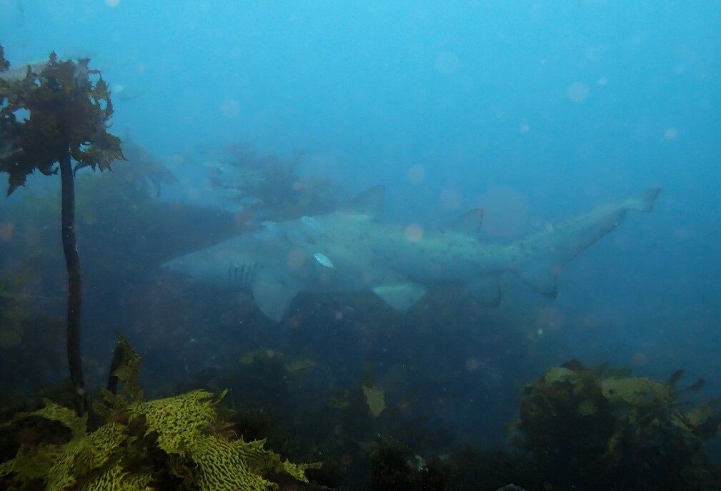 0df84fce-0b52-4a9d-9a41-bdeb12417870