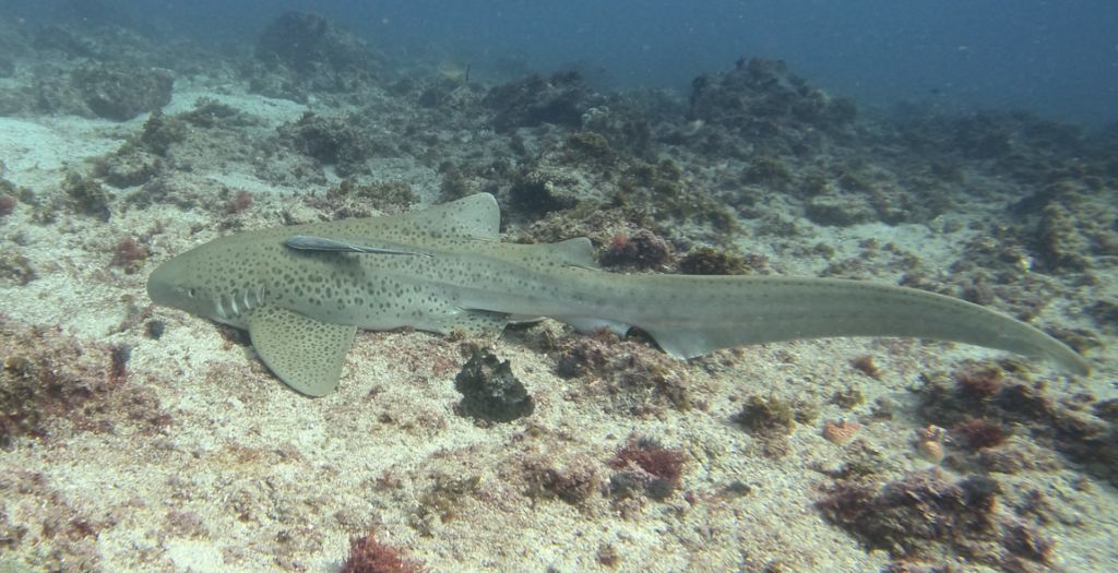 f1b2c74f-49a3-4609-8ec2-1e26f59b9bc1