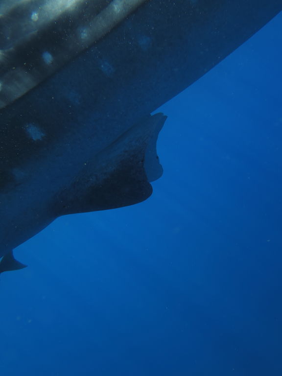 b46eea2b-cae5-4921-9a89-79e6cded1af3