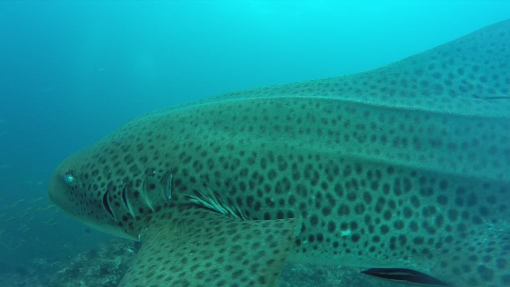 f1cfa6d2-47fe-4988-a2cd-22991b04270c