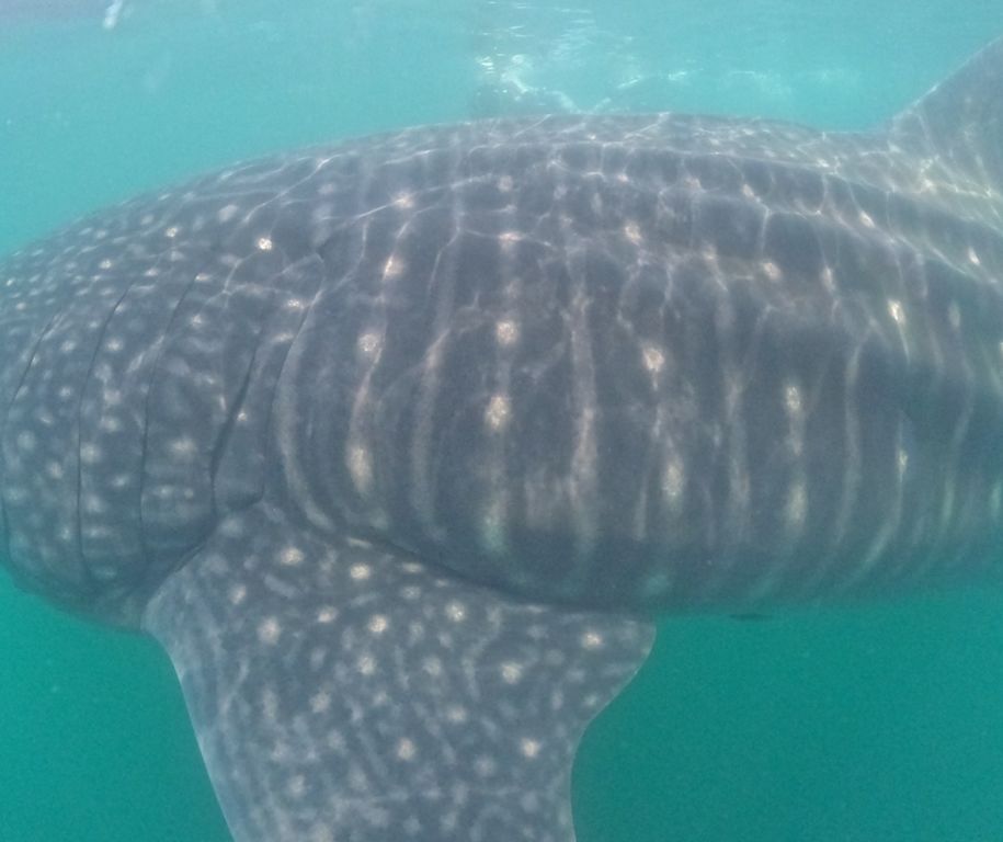 5b6a5ce5-f4fa-4cb3-b326-7c9854764f73