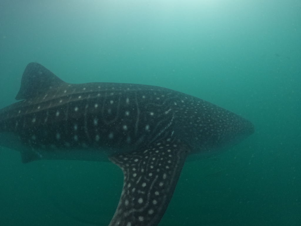 dbe93bc6-9205-4f59-ab18-f30e70d2b15e