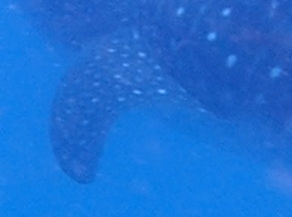 280cf3ab-e656-410e-a0c7-a7ce0ec3e6c5