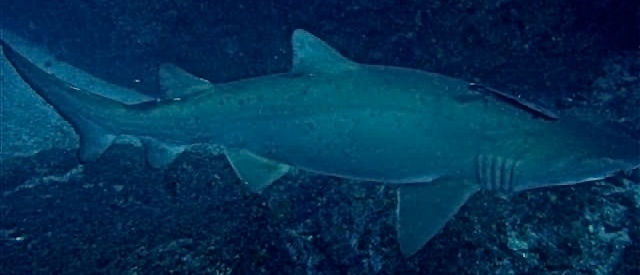 2b111575-0eb8-44b6-98a7-74fca564a6c7