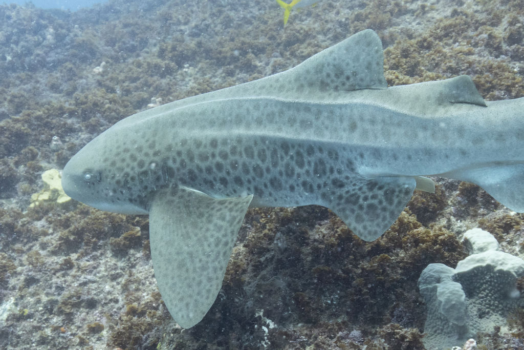 1812cc49-c89c-4d2a-a262-8b94ebd90ab4