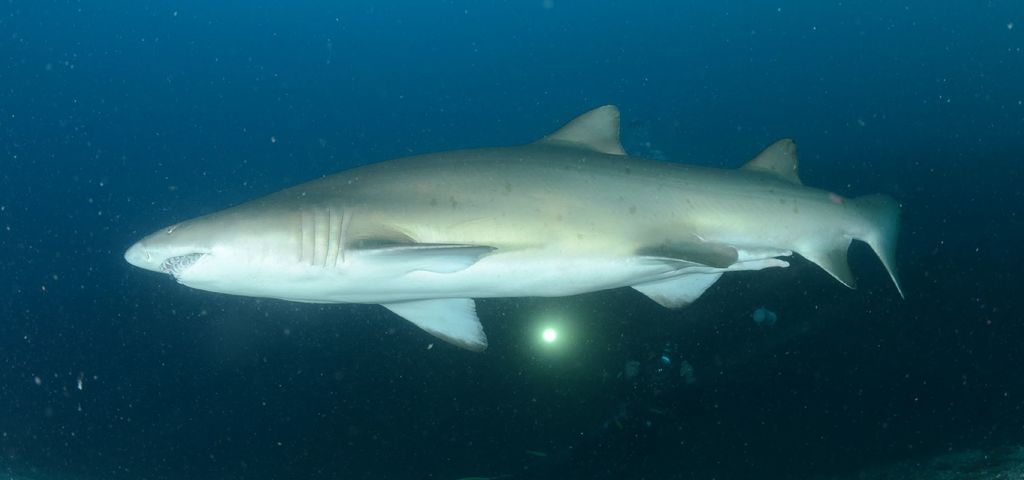 be6cd894-0b07-4ec8-bf2f-a754fc360652