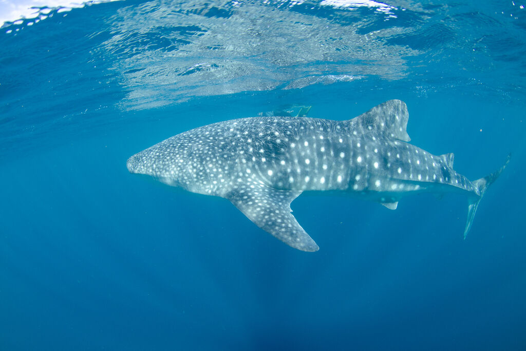 08410436-89be-4aca-876c-e0a05a05a8e2