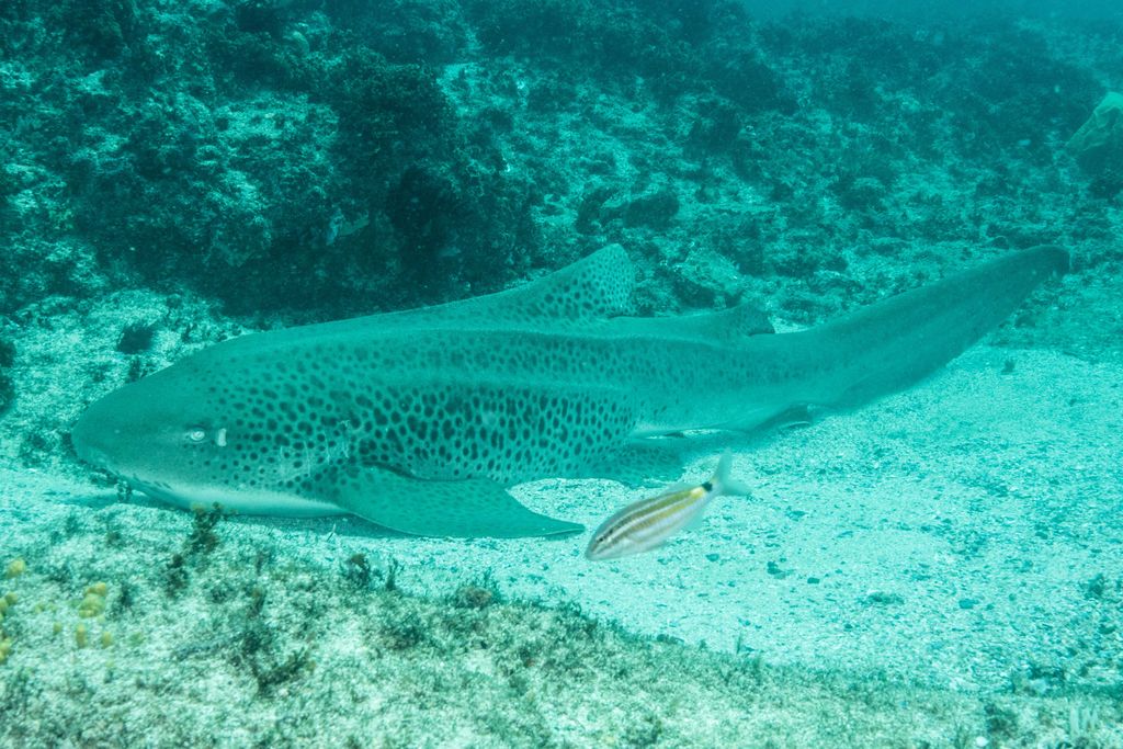 90dfdeab-cdf9-488c-8e68-11d922b33e07