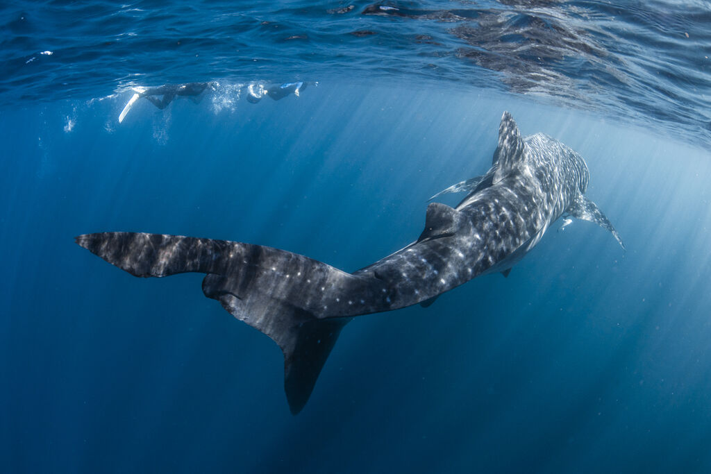 632b304f-f188-4a8b-92d9-7b1a2cff8822