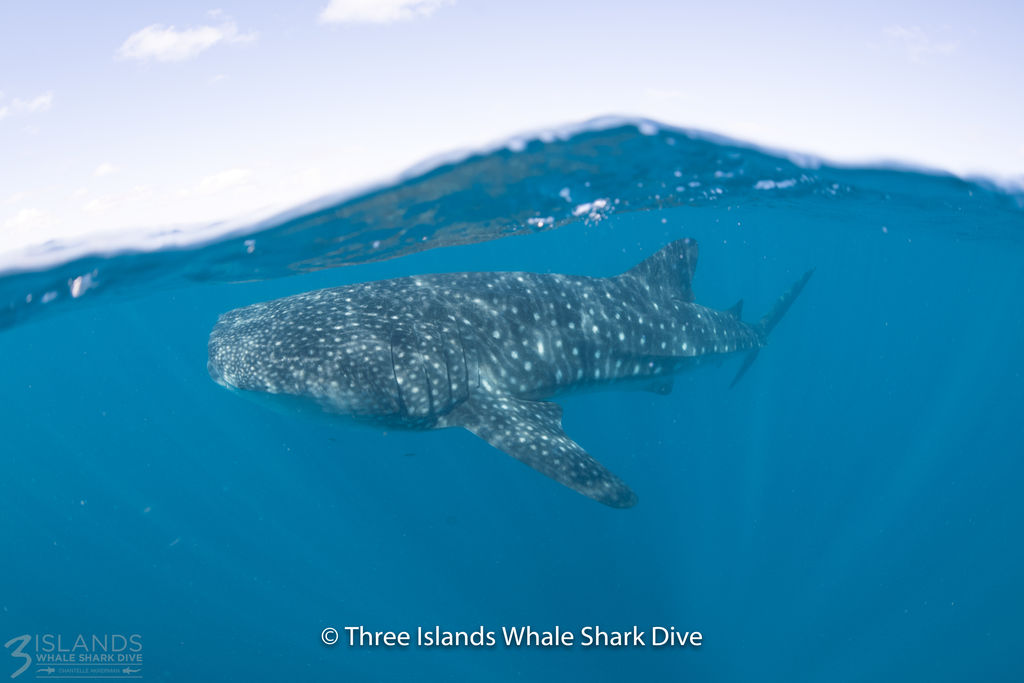 8cd1cdde-41d8-452d-8d8c-35886398b511