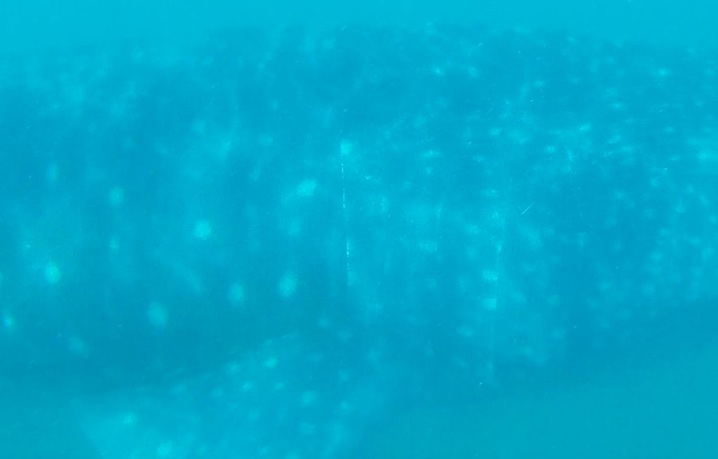 5ddd510b-fb47-470a-8714-dc55c423bd55