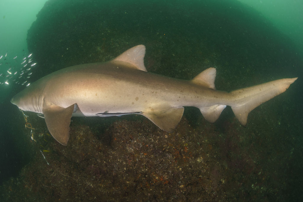 45587c18-5c97-4586-9e6d-da0b57b720d8