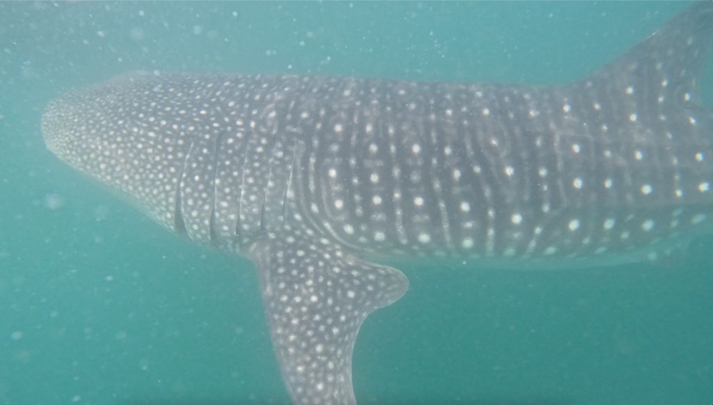 27ead0a8-d66e-41f0-b689-68542bb3db14