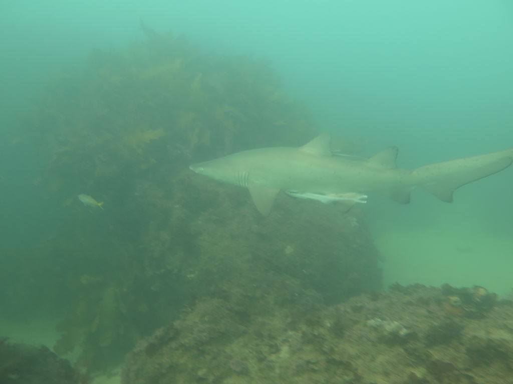 23e6f1d2-a782-4e6c-ac07-27ce05cb568a