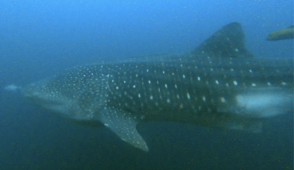 ba4fe454-81bc-43c3-b882-1820e666910d