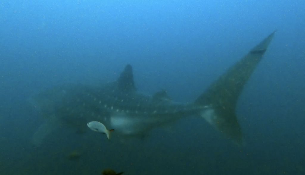 ba4fe454-81bc-43c3-b882-1820e666910d