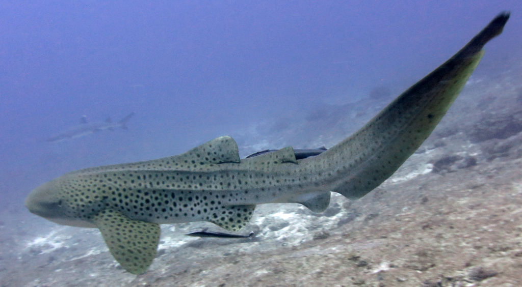 a2563952-ddc4-4076-bf02-ed861fe13b88