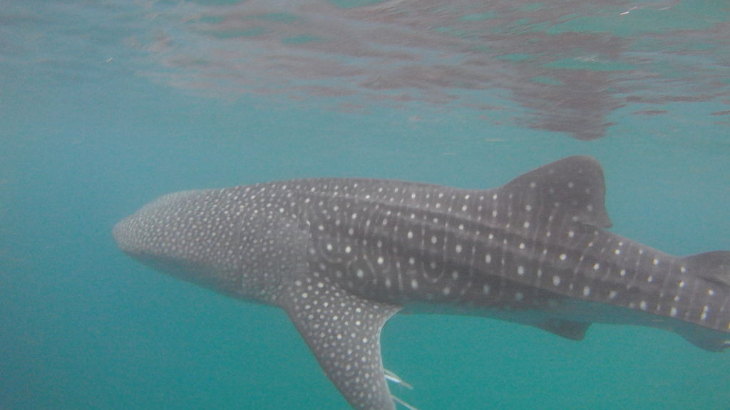 534520a1-6211-4498-b0a3-dfb56c177211