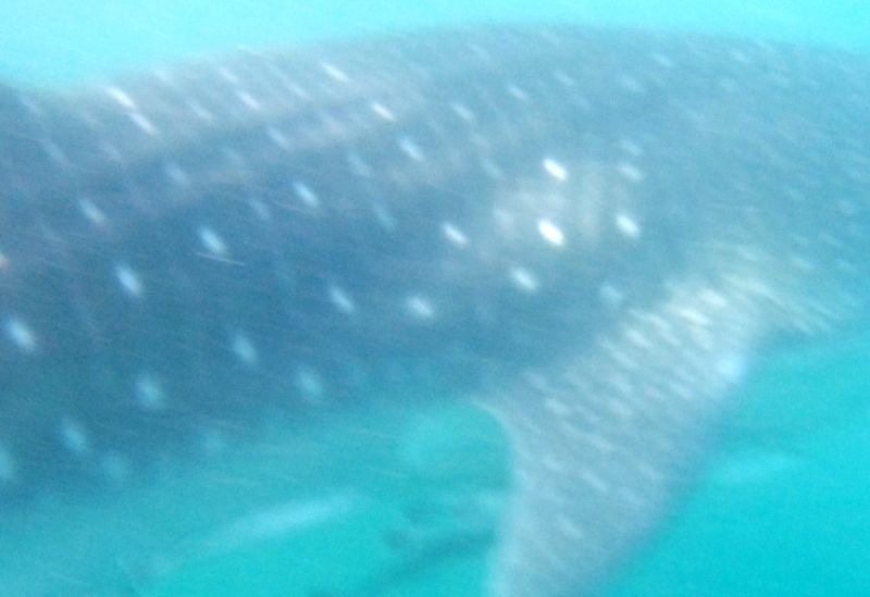 74d9a4fd-93f7-4e2e-b303-d6741243a788