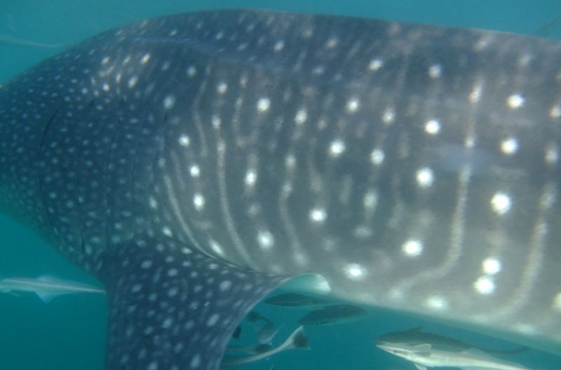 74d9a4fd-93f7-4e2e-b303-d6741243a788