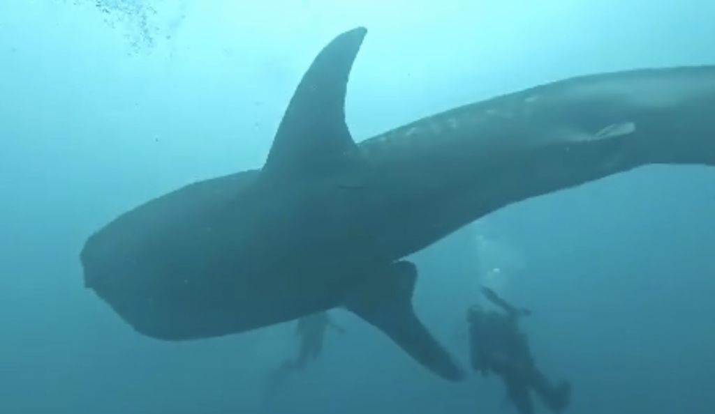 bd0a18b8-7630-45c0-a967-3450baae3127